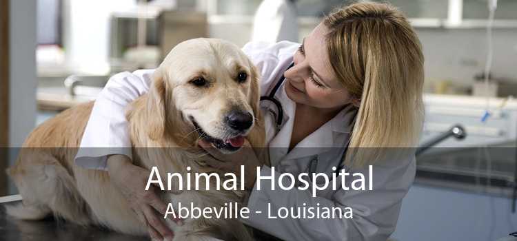 Animal Hospital Abbeville - Louisiana