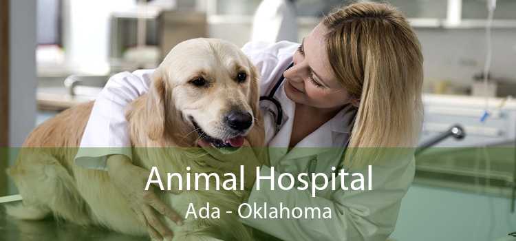 Animal Hospital Ada - Oklahoma