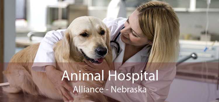 Animal Hospital Alliance - Nebraska