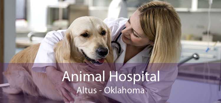 Animal Hospital Altus - Oklahoma