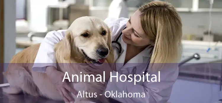 Animal Hospital Altus - Oklahoma