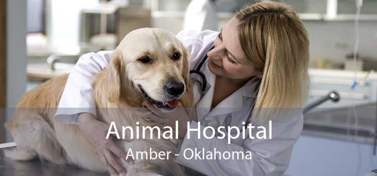 Animal Hospital Amber - Oklahoma