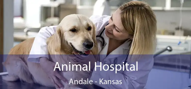 Animal Hospital Andale - Kansas