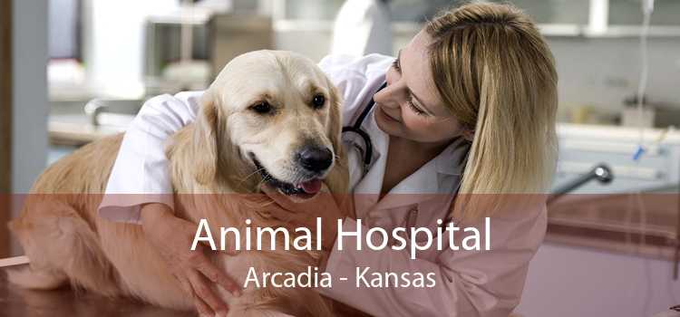 Animal Hospital Arcadia - Kansas