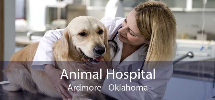 Animal Hospital Ardmore - Oklahoma