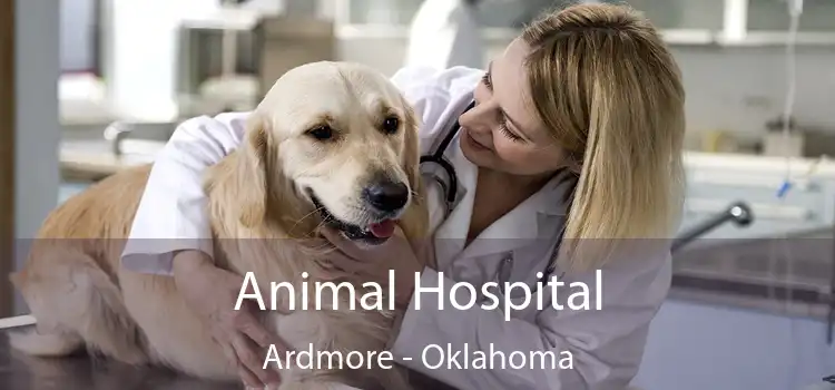 Animal Hospital Ardmore - Oklahoma