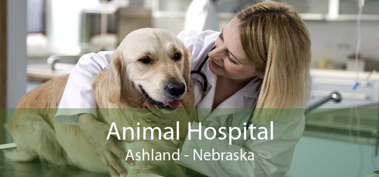 Animal Hospital Ashland - Nebraska