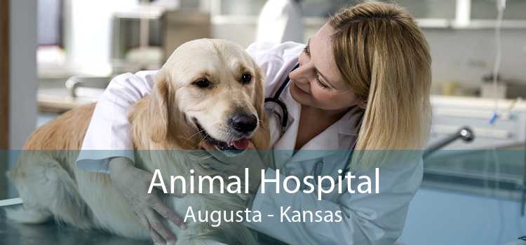 Animal Hospital Augusta - Kansas