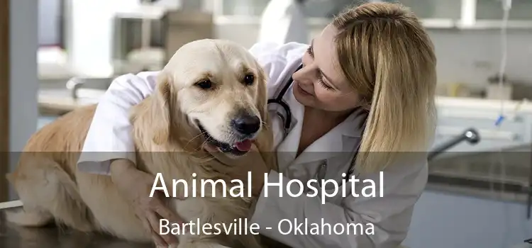 Animal Hospital Bartlesville - Oklahoma