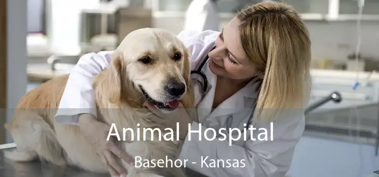 Animal Hospital Basehor - Kansas