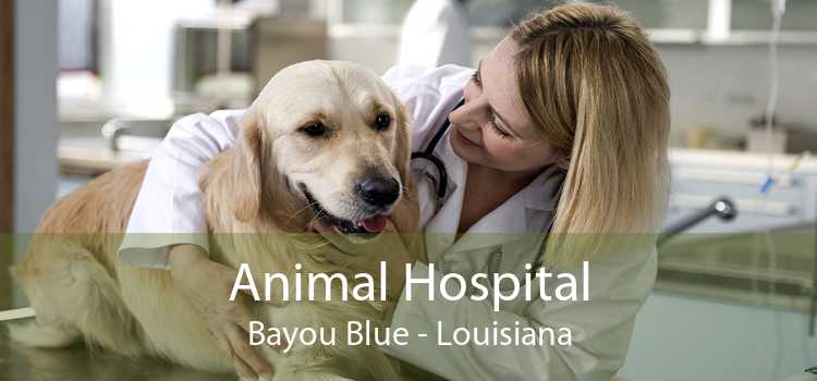 Animal Hospital Bayou Blue - Louisiana
