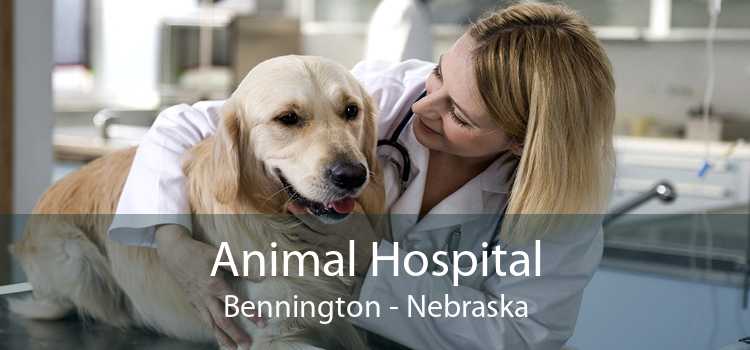 Animal Hospital Bennington - Nebraska