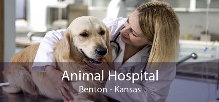 Animal Hospital Benton - Kansas