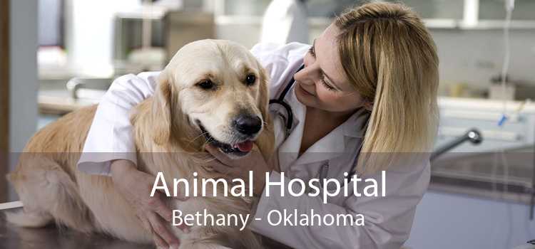 Animal Hospital Bethany - Oklahoma