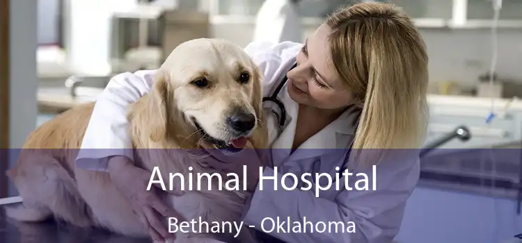 Animal Hospital Bethany - Oklahoma