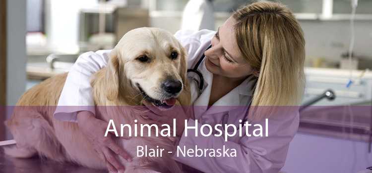 Animal Hospital Blair - Nebraska