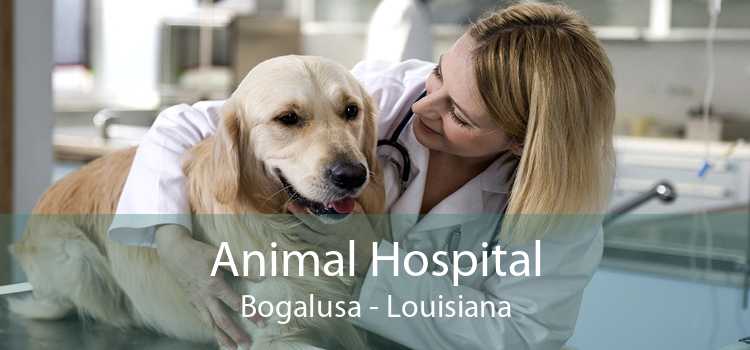 Animal Hospital Bogalusa - Louisiana