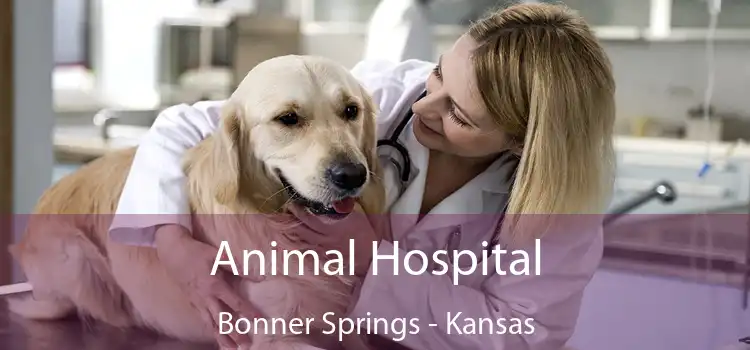 Animal Hospital Bonner Springs - Kansas