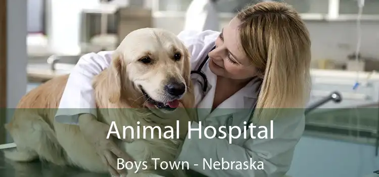 Animal Hospital Boys Town - Nebraska