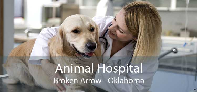 Animal Hospital Broken Arrow - Oklahoma