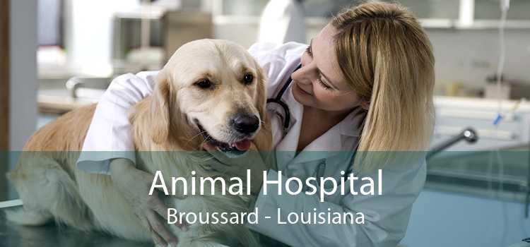 Animal Hospital Broussard - Louisiana