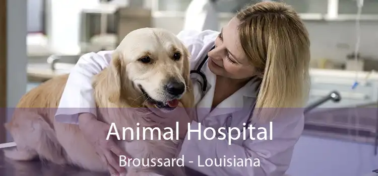 Animal Hospital Broussard - Louisiana