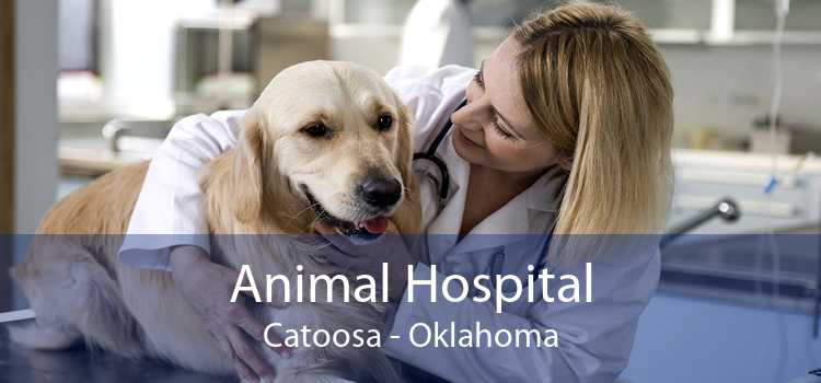 Animal Hospital Catoosa - Oklahoma