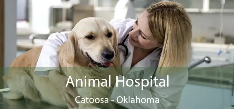 Animal Hospital Catoosa - Oklahoma