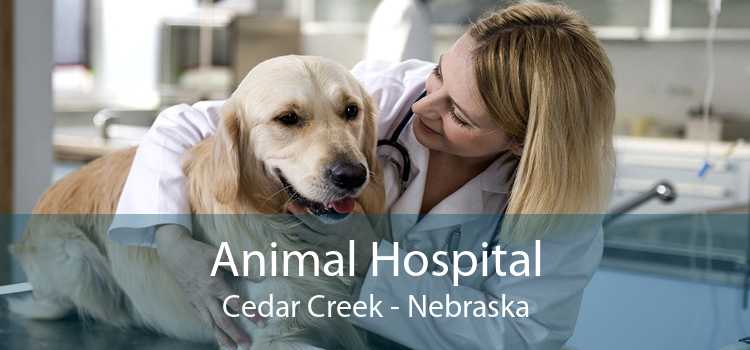 Animal Hospital Cedar Creek - Nebraska