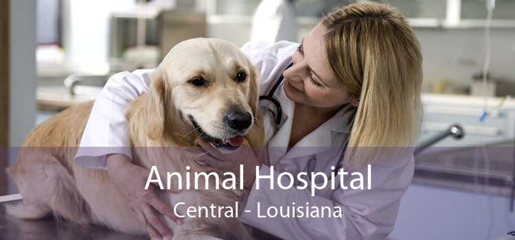 Animal Hospital Central - Louisiana