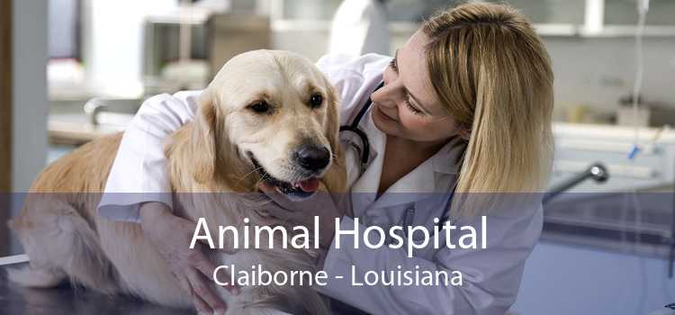 Animal Hospital Claiborne - Louisiana
