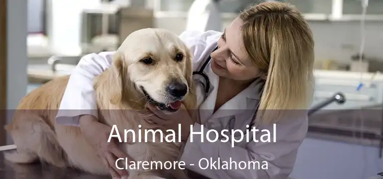 Animal Hospital Claremore - Oklahoma
