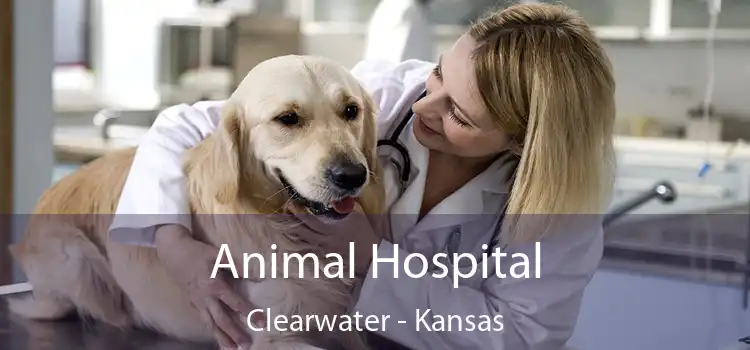 Animal Hospital Clearwater - Kansas