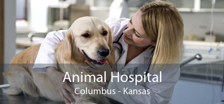 Animal Hospital Columbus - Kansas