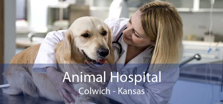 Animal Hospital Colwich - Kansas