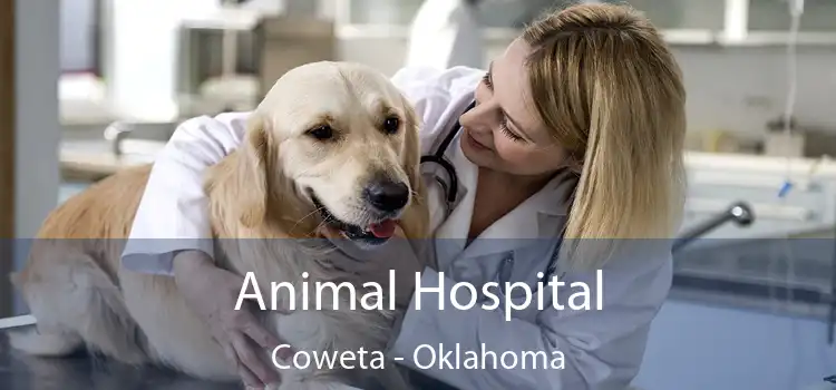 Animal Hospital Coweta - Oklahoma
