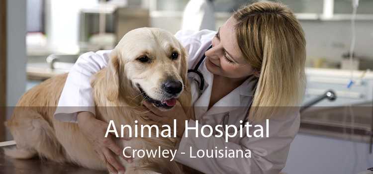 Animal Hospital Crowley - Louisiana