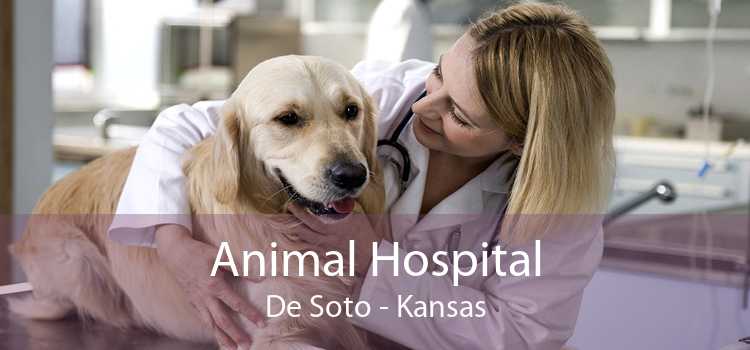 Animal Hospital De Soto - Kansas