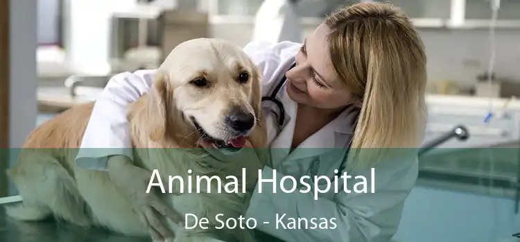 Animal Hospital De Soto - Kansas
