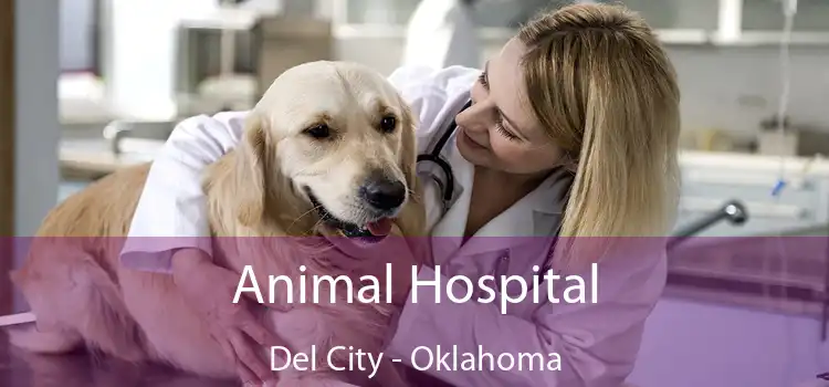 Animal Hospital Del City - Oklahoma