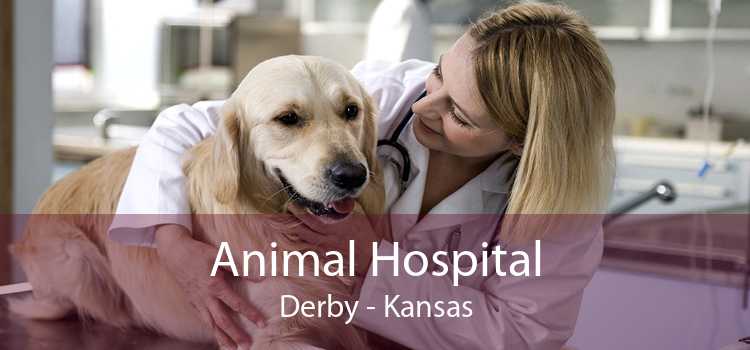 Animal Hospital Derby - Kansas