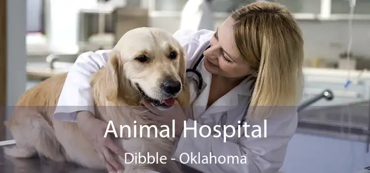 Animal Hospital Dibble - Oklahoma