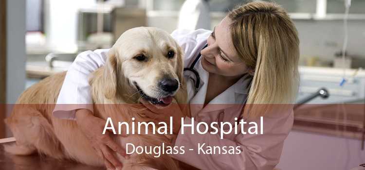Animal Hospital Douglass - Kansas