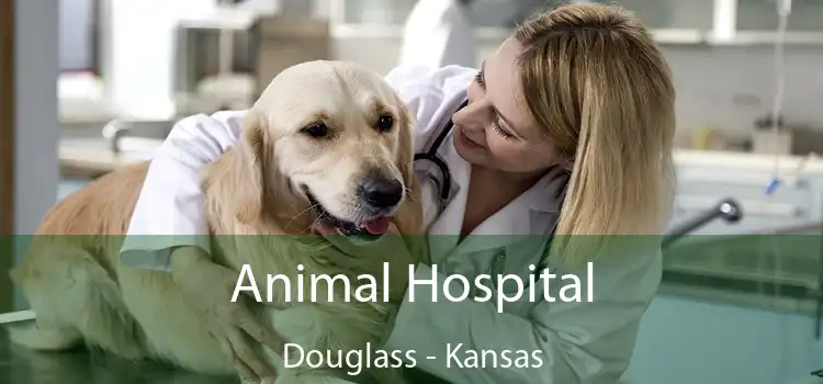 Animal Hospital Douglass - Kansas