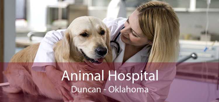 Animal Hospital Duncan - Oklahoma