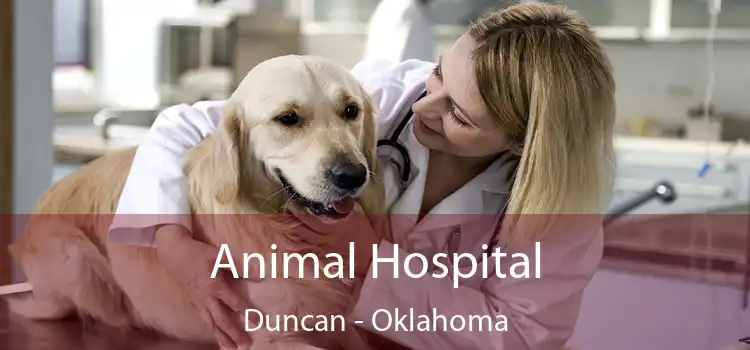 Animal Hospital Duncan - Oklahoma