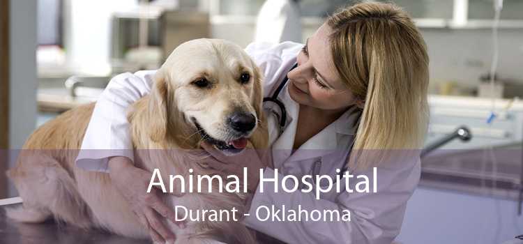 Animal Hospital Durant - Oklahoma