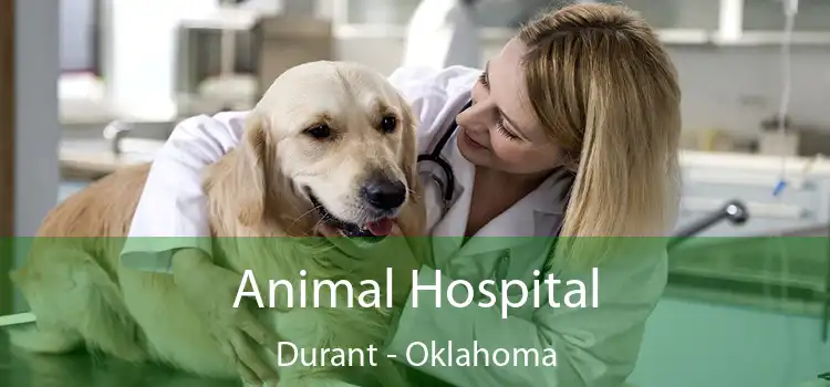 Animal Hospital Durant - Oklahoma