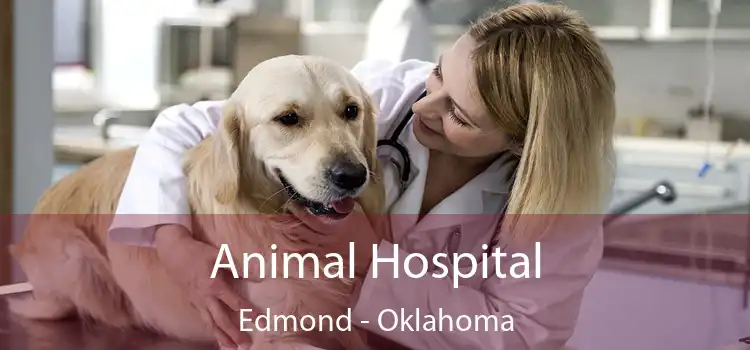 Animal Hospital Edmond - Oklahoma