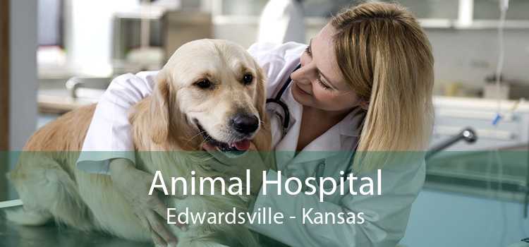 Animal Hospital Edwardsville - Kansas